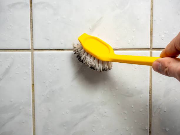 Best Commercial Mold Removal  in Shenandoah, VA