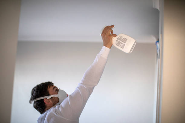 Mold Removal and Inspection in Shenandoah, VA