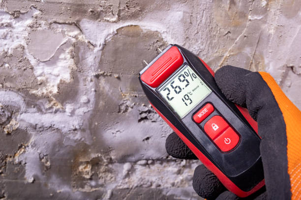 Best Mold Cleaning Services  in Shenandoah, VA