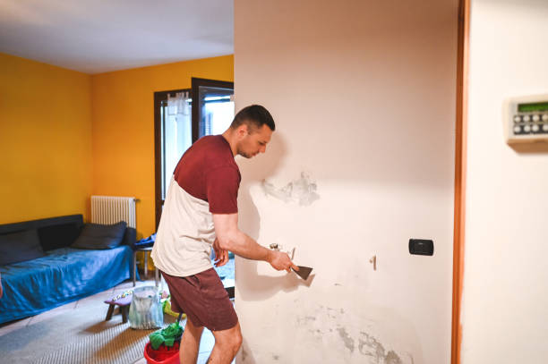 Best Affordable Mold Removal  in Shenandoah, VA